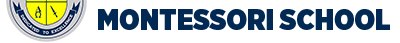 EMS Logo